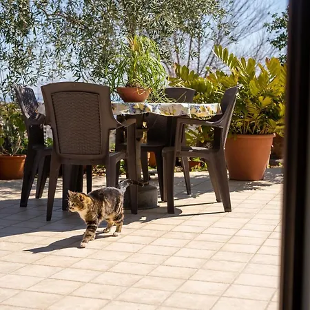 Casa Baronessa Hotel Acireale
